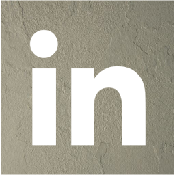 linkedin 2 icon