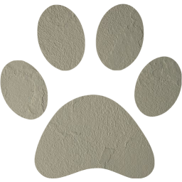 paw icon