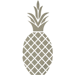 pineapple icon