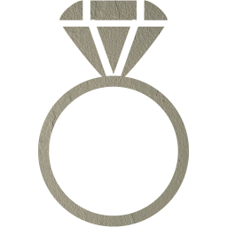 ring 2 icon