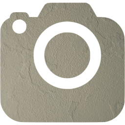 slr camera 2 icon