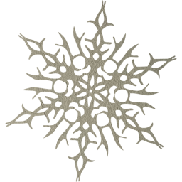 snowflake 14 icon