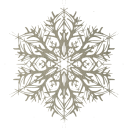 snowflake 22 icon