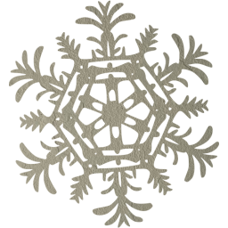 snowflake 25 icon