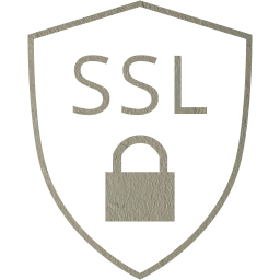 ssl badge icon