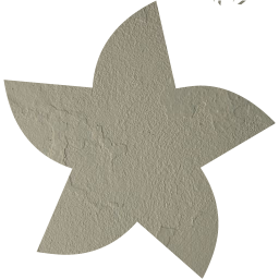 star 21 icon