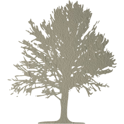 tree 18 icon