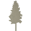 tree 19