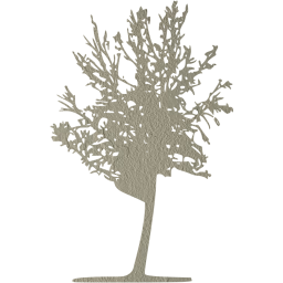 tree 27 icon