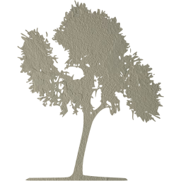 tree 33 icon