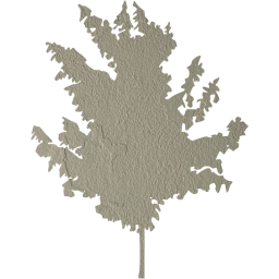 tree 71 icon