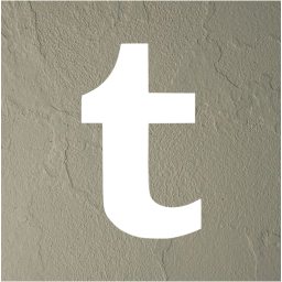 tumblr 2 icon