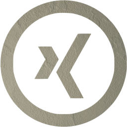 xing 5 icon