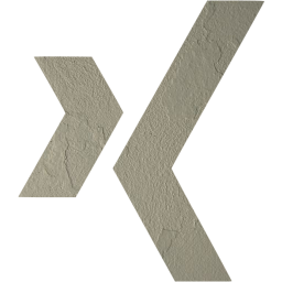 xing icon