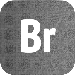 adobe br icon