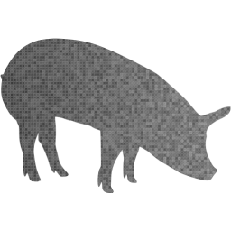 pig 5 icon