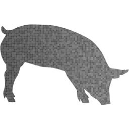 pig 7 icon