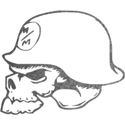 skull 14 icon