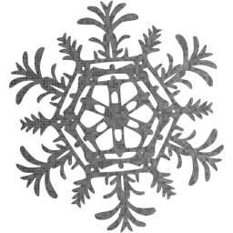 snowflake 25 icon