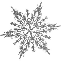 snowflake 41 icon