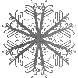 snowflake 49 icon