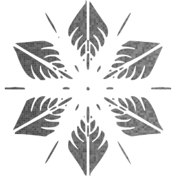 snowflake 5 icon