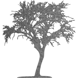 tree 10 icon