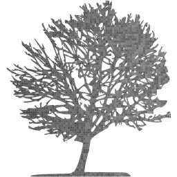 tree 11 icon