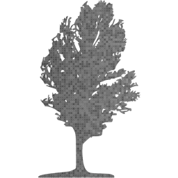 tree 17 icon