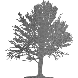 tree 18 icon