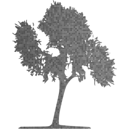 tree 33 icon