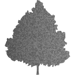 tree 47 icon