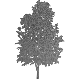 tree 74 icon