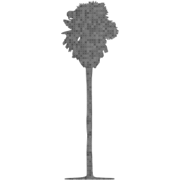 tree 77 icon