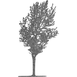 tree 80 icon