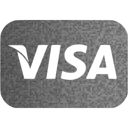 visa icon