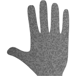 whole hand icon