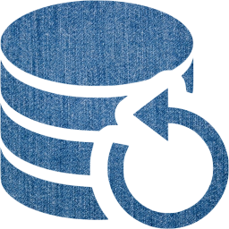 data backup icon