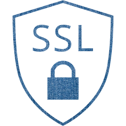 ssl badge icon