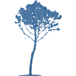 tree 34 icon