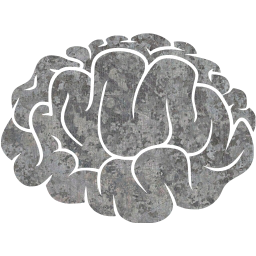 brain 2 icon