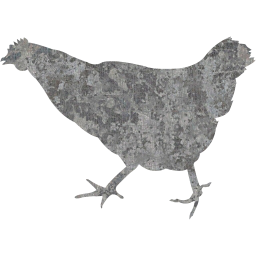 chicken 2 icon