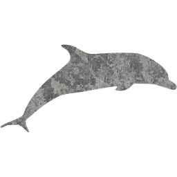 dolphin 3 icon