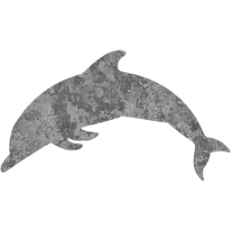 dolphin icon