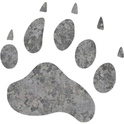 footprints bear icon