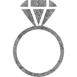 ring 2 icon