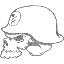 skull 14 icon