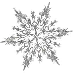 snowflake 41 icon