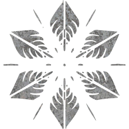 snowflake 5 icon