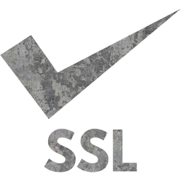 ssl badge 3 icon